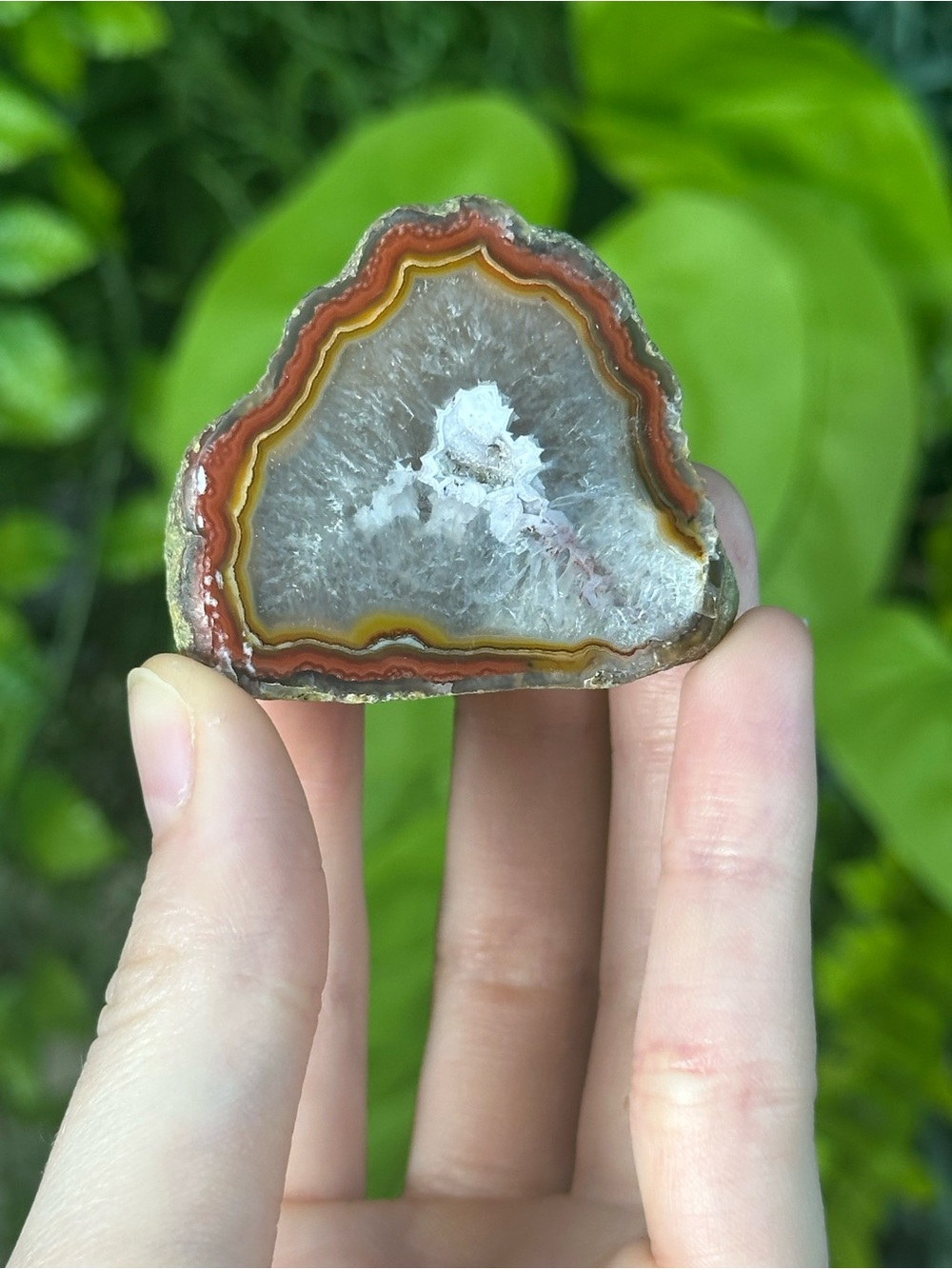 Polished Laguna Agate Geode Crystal Mineral Specimen